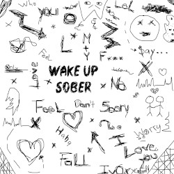 Wake Up Sober