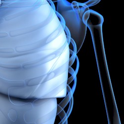 BAPTISM: 6. GOSPEL VAN HALEN