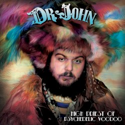 High Priest of Psychedelic Voodoo
