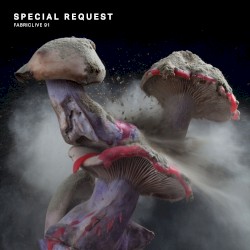 FabricLive 91: Special Request