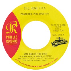 Walking in the Rain ∕ Born to Be Together