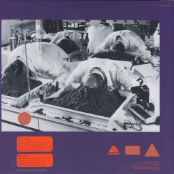 Ammonia Avenue