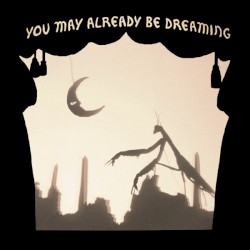 You May Already Be Dreaming