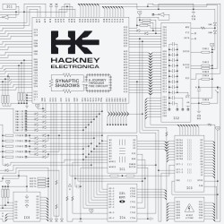 Synaptic Shadows: A Journey Through The Circuit