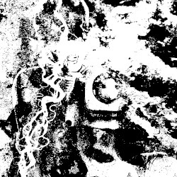 With Love Passed Down to Me