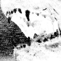 BREAK LAW (Wolfmagic edit)