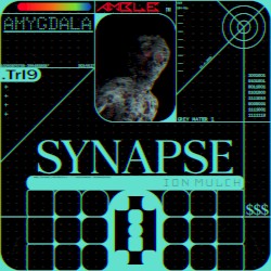 SYNAPSE