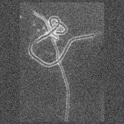 last hope of decadent mankind