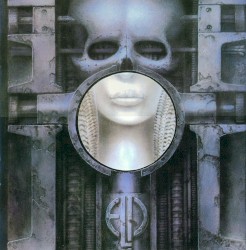 Brain Salad Surgery