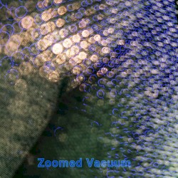 Zoomed Vacuum