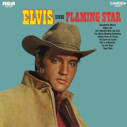 Elvis Sings Flaming Star