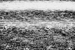 Jaiden Macintosh & /ᐠ｡ꞈ｡ᐟ\