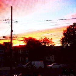 I Had A Dream That I Crashed My Dad's Jeep On The Bronx River Parkway