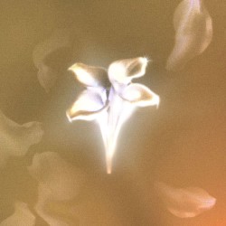 NEXO 05. Ya no estoy triste (feat. Dollar Selmouni)