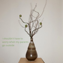 I Shouldn't Have to Worry When My Parents Go Outside