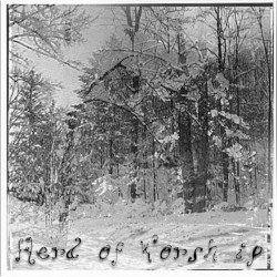 XCIX. Not So Cold, Some Snow Fell (I Went Inside and Said Goodbye to Mother)