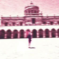 Ojalá te hubieras quedado