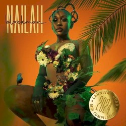 2024 Carnival Road Mix Compilation