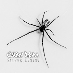 Silver Lining Vol. 1