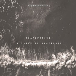 A Touch of Seafields