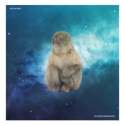 Meta Monkey