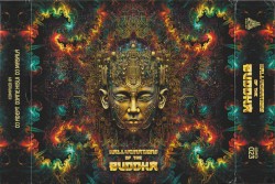 Hallucinations of the Buddha