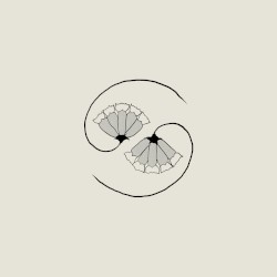 G_d’s Pee AT STATE’S END!