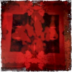 :the light of june dried flowers in your mouth: