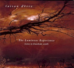 The Luminous Experience (Live in Enschede 2008)