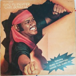 Kung Fu Fighter