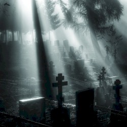 Veni Nox Anima