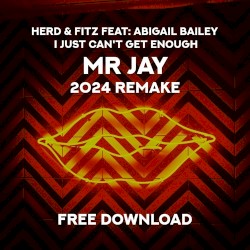 I Just Cant Get Enough (MR JAY 2024 Remake)
