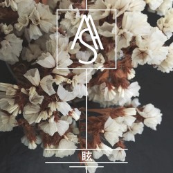 眩