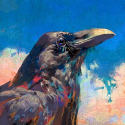 烏 - Raven