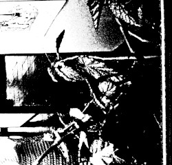 Do You Often Sit When Other People Stand?