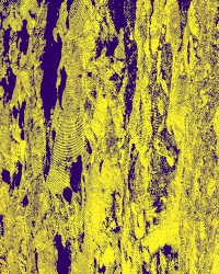 Animate Your Enemies