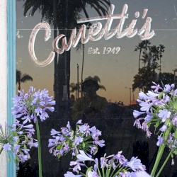 Organs & Mike Watt EP