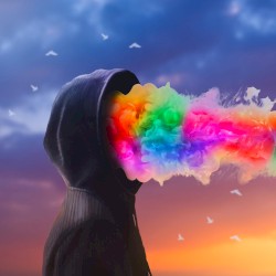 I Don’t Daydream Anymore