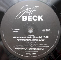 What Mama Said (remix)