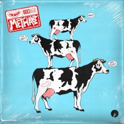 Methane