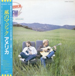 View From the Ground