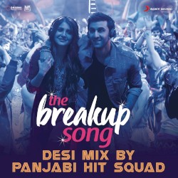 The Breakup Song (Desi mix by Panjabi Hit Squad)