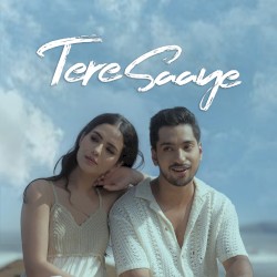 Tere Saaye