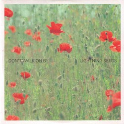 Don’t Walk on By