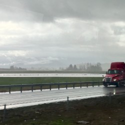 i just wanted you to stay