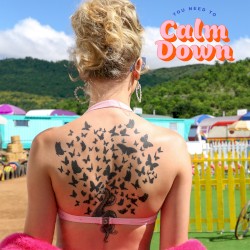 You Need To Calm Down