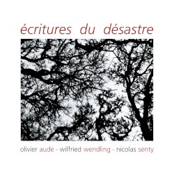 Écritures du désastre