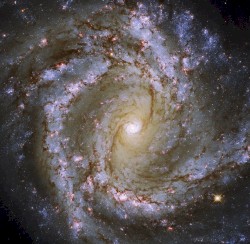 M61