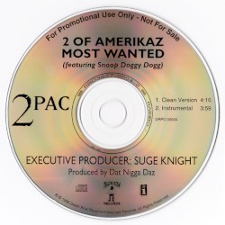 2 of Amerikaz Most Wanted