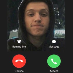 Tomholland